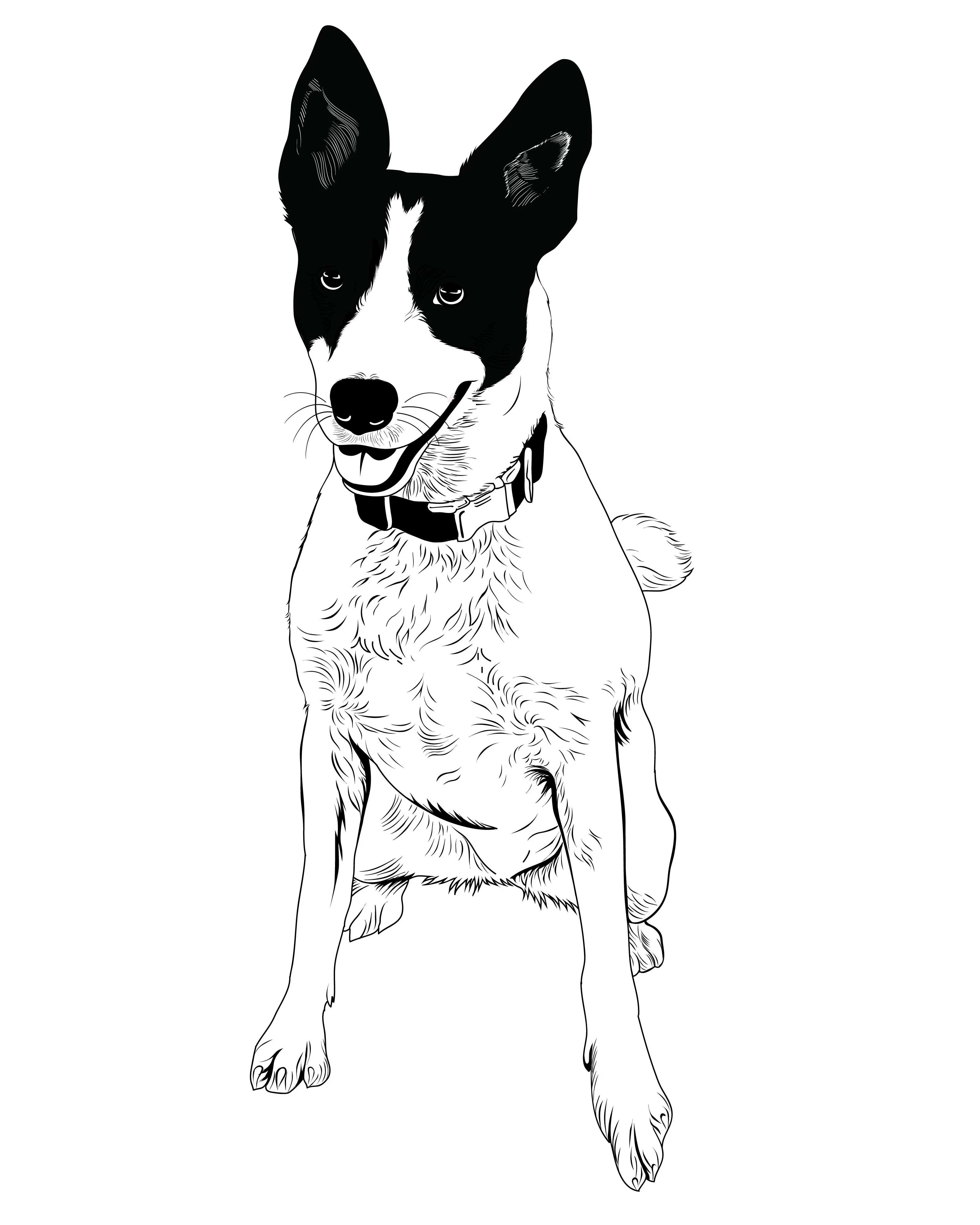 Line Art - Image 4
